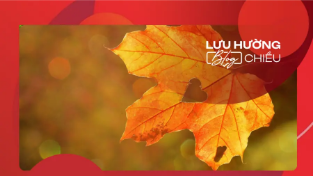 Vạt nắng cuối thu